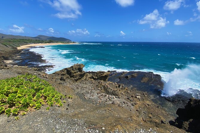 Oahu Island Experience feat the North Shore (Small Group Tour) - A roadside farm stand with fresh fruit