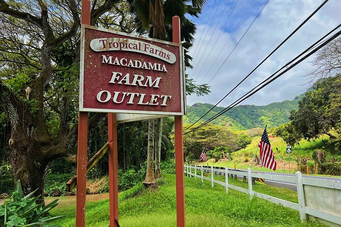 Oahu Island Experience feat the North Shore (Small Group Tour) - Sunset Beach and Oahu’s surf coast