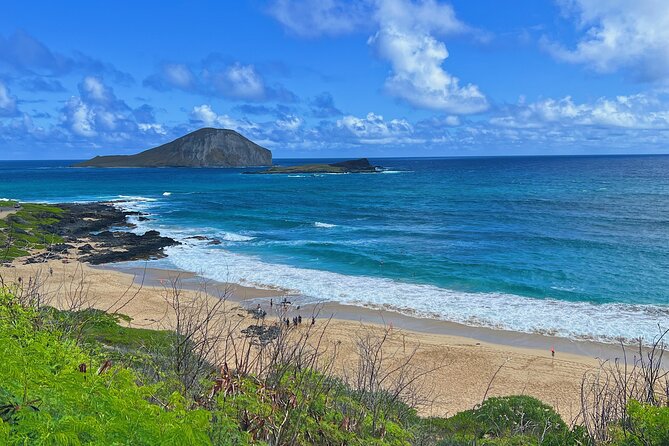 Oahu Island Experience feat the North Shore (Small Group Tour) - Tropical Farms and macadamia nut tasting