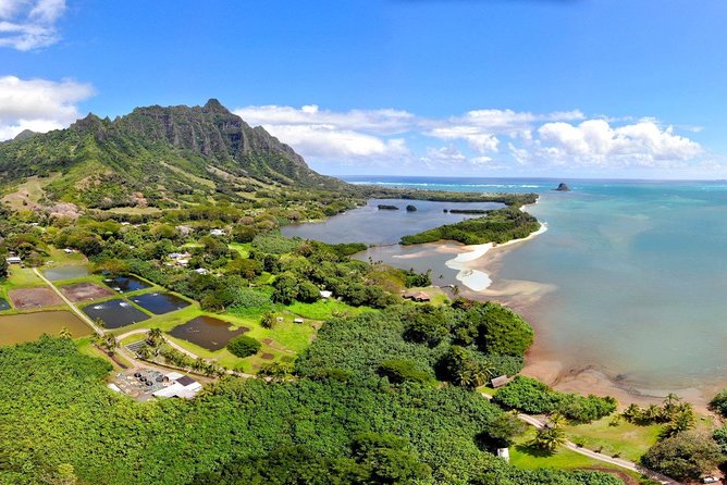 Oahu Island Full-Day Sightseeing Tour - Kahuku garlic shrimp and the practical food break