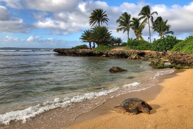 Oahu Island Photography Tour - North Shore surf and a local lunch break