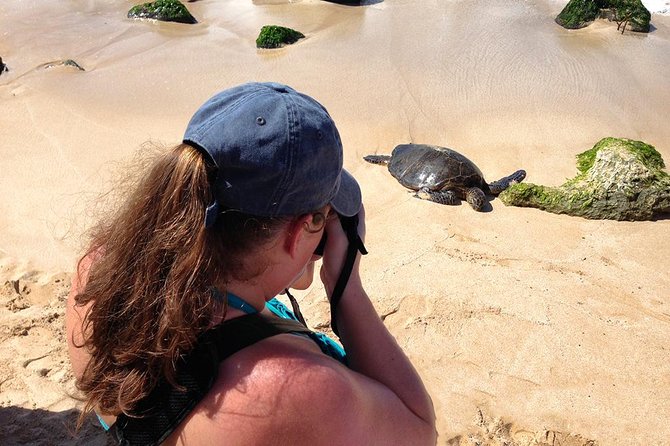 Oahu Island Photography Tour - Is $150 a fair price?