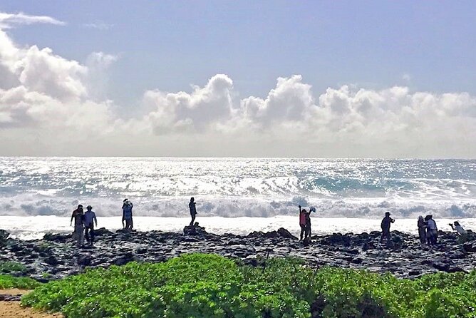 Oahu Island Sightseeing and Food Combo Tour - Is $189 a fair price?