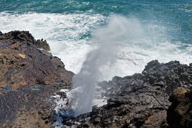 Oahu Island Tour: 13 ppl Max, Snorkel at Turtle Beach + Lunch - Makapu‘u Point brings the widest ocean views