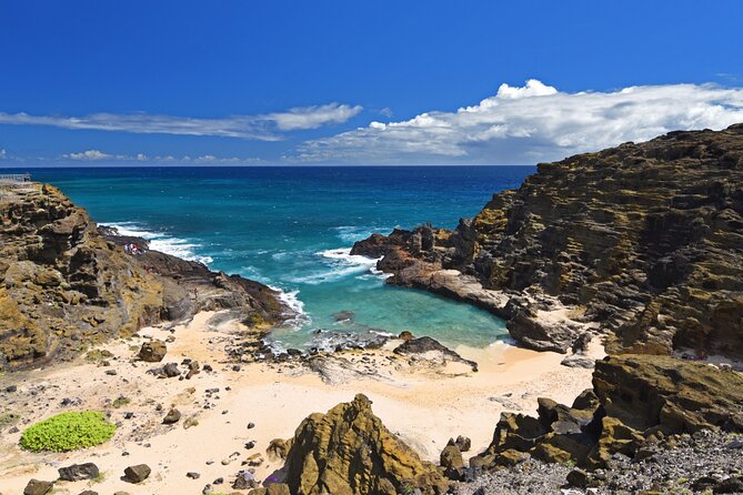 Oahu Island Tour: 13 ppl Max, Snorkel at Turtle Beach + Lunch - Byodo-in Temple provides the day’s quiet pause
