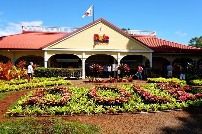 Oahu Island Tour, Dole plantation ,Northshore,VIP,PRIVATE - Blowhole views and the Nu’uanu Pali