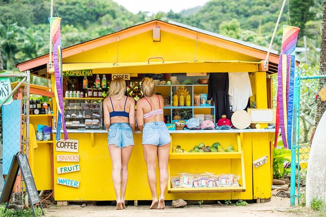 Oahu Island Tour, Dole plantation ,Northshore,VIP,PRIVATE - Kualoa Ranch and the windward coast