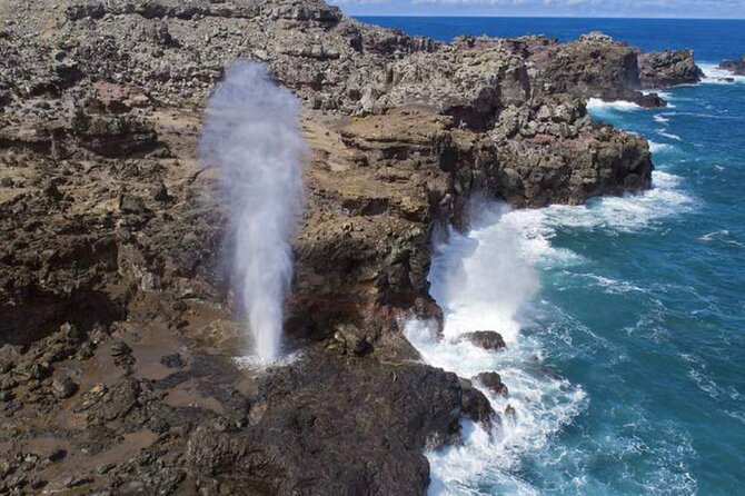 Oahu Island Tour, Dole plantation ,Northshore,VIP,PRIVATE - Dole Plantation and the final cultural stops