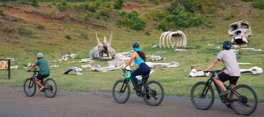 Oahu: Kualoa Electric Bike Tour - Training Comes Before the Six-Mile Route