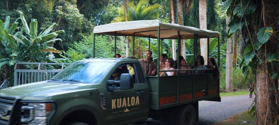 Oahu: Kualoa Jurassic Movie Set Adventure Tour - Practical ways to make the ride better