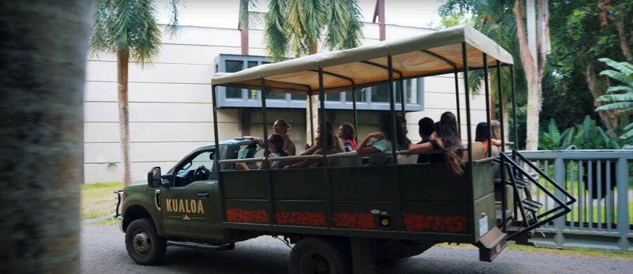Oahu: Kualoa Jurassic Movie Set Adventure Tour - Should you book the Kualoa Jurassic Movie Set Adventure Tour?