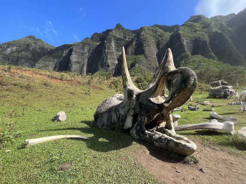 Oahu: Kualoa Movie Sites, Jungle, and Buffet Tour Package - Why this seven-hour Kualoa day works