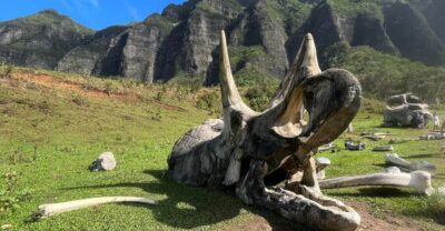 Kualoa Movie Sites, Jungle, and Buffet Tour Package