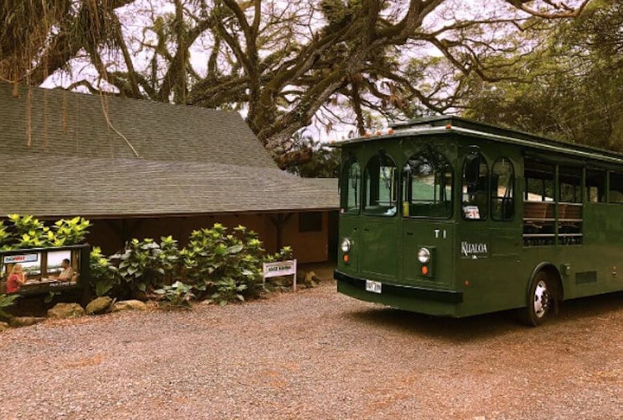 Oahu: Kualoa Movie Sites, Jungle, and Buffet Tour Package - What the $173 price really buys