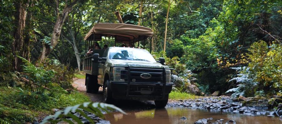 Oahu: Kualoa Open Air Jungle Expedition Tour - A Rough Ride Into Hakipuʻu Rainforest