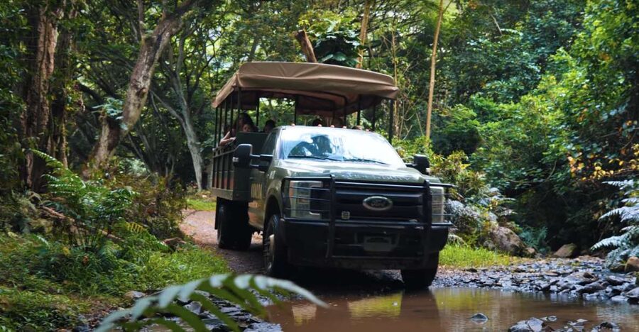 Oahu: Kualoa Open Air Jungle Expedition Tour - Crossing Trails, Hills, and Stream Beds
