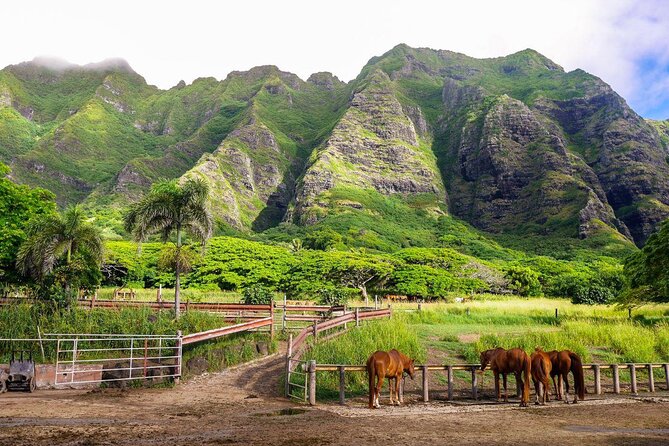 Oahu: Kualoa Ranch UTV Raptor Tour - Riding into Ka’a’awa Valley