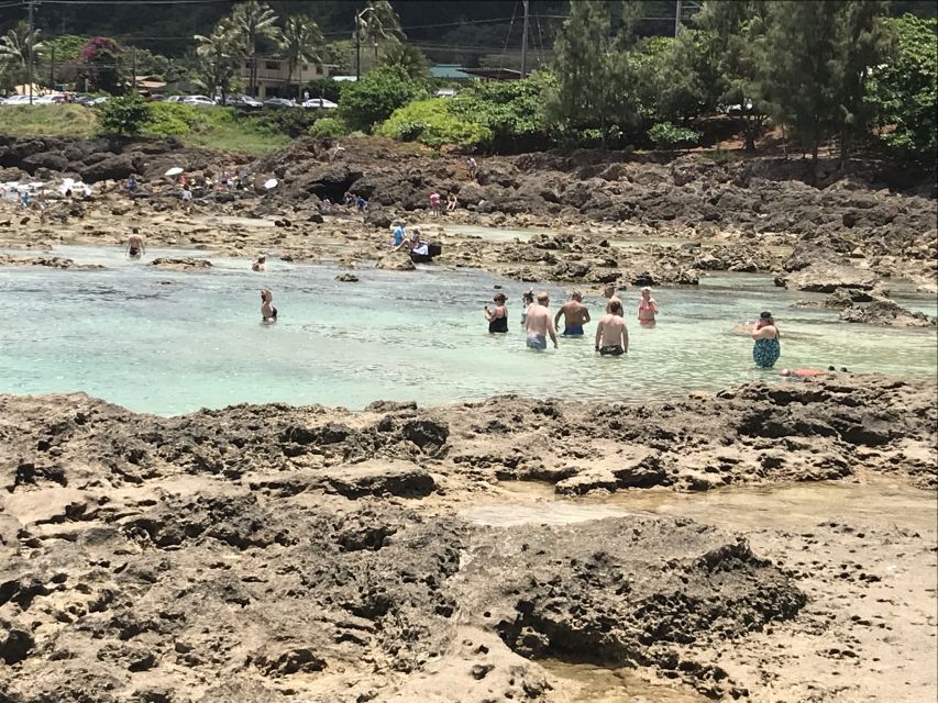 Oahu: Manoa Falls Hike and east side beach day - Should you book Take A Hike Oahu?