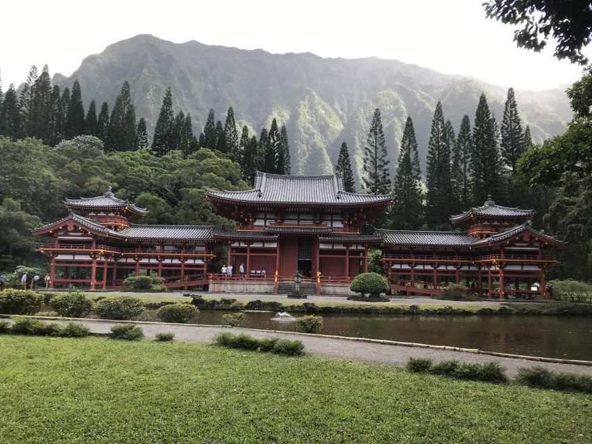 Oahu: Manoa Falls Hike and east side beach day - Manoa Falls starts the day in the rainforest