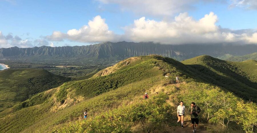 Oahu: Manoa Falls Hike and east side beach day - Lunch in Kailua, with local food on your own tab