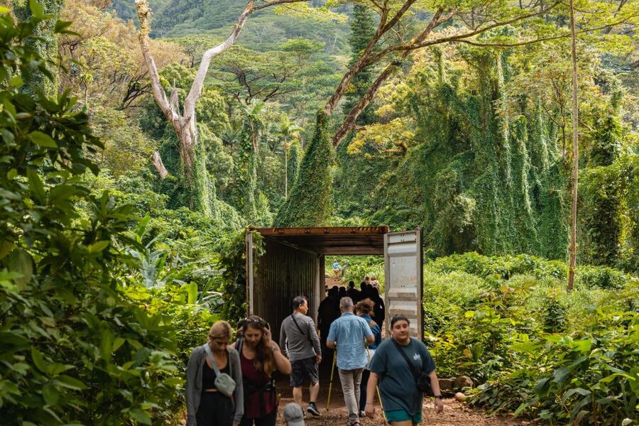 Oahu: Manoa Falls Waterfall Hike with Lunch and Transfers - Key points to know before you go