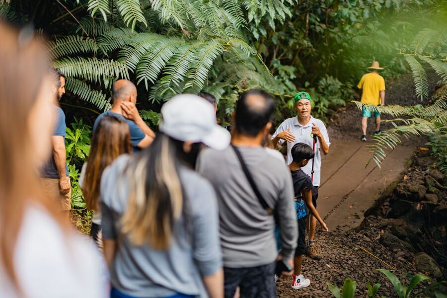 Oahu: Manoa Falls Waterfall Hike with Lunch and Transfers - Guides, languages, and the human side of the tour