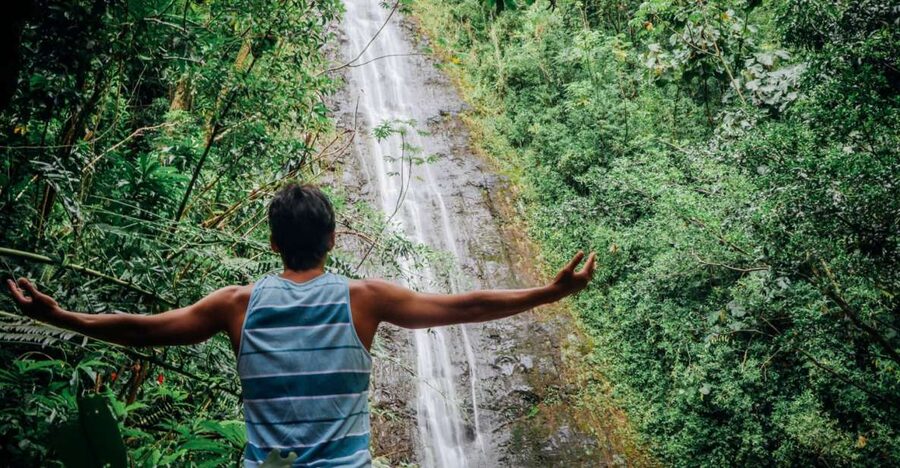 Oahu: Manoa Falls Waterfall Hike with Lunch and Transfers - Why Manoa Falls works so well as a half-day Oahu outing