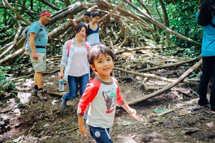 Oahu: Manoa Falls Waterfall Hike with Lunch and Transfers - Reaching the 150-foot Manoa Falls