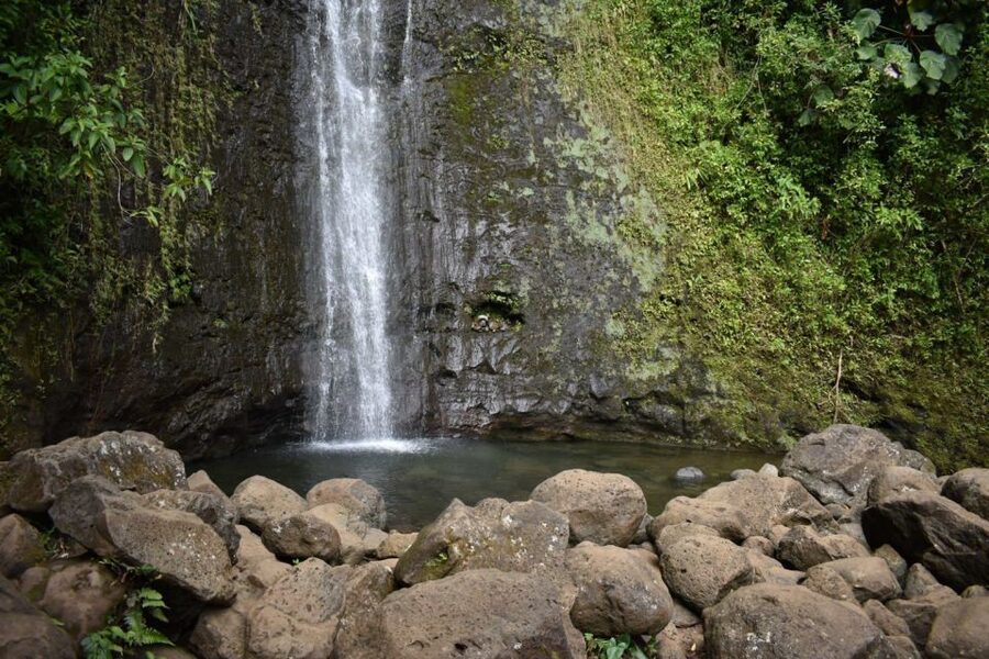 Oahu: Manoa Falls Waterfall Hike with Lunch and Transfers - The return walk and the value of a walking stick