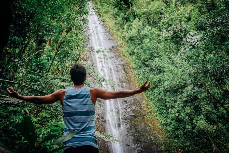 Oahu: Manoa Falls Waterfall Hike with Lunch and Transfers - Lunch above Honolulu at Tantalus Lookout