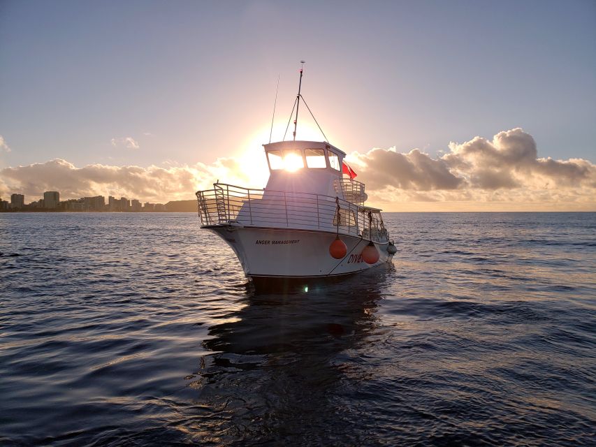 Oahu Night Dive: Adventure for Certified Divers - First session: Oahu’s reef at twilight