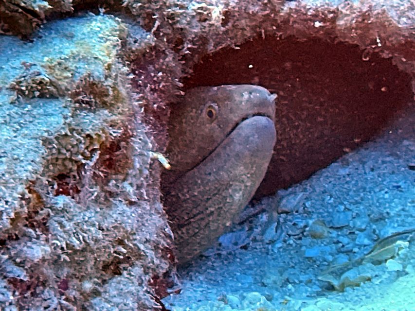 Oahu Night Dive: Adventure for Certified Divers - The 30-minute sunset surface break