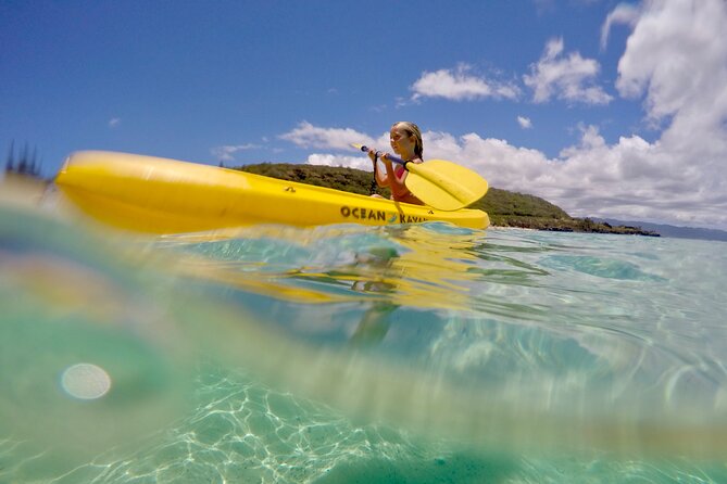 Oahu North Shore Experience: Activities, Waterfall & Free Time - Choosing between Waimea Bay, Shark’s Cove, and Waimea Valley