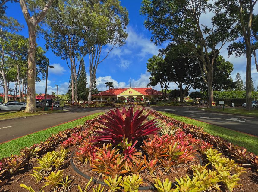 Oahu: North Shore Experience and Dole Plantation - Why this North Shore day works
