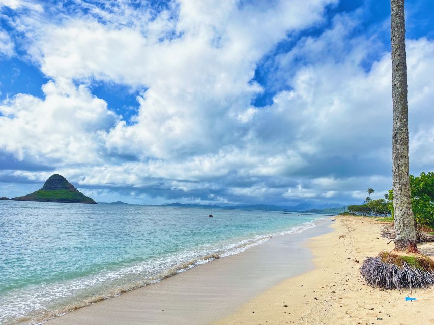 Oahu: North Shore Experience and Dole Plantation - Macadamia nuts and Kualoa’s mountain views