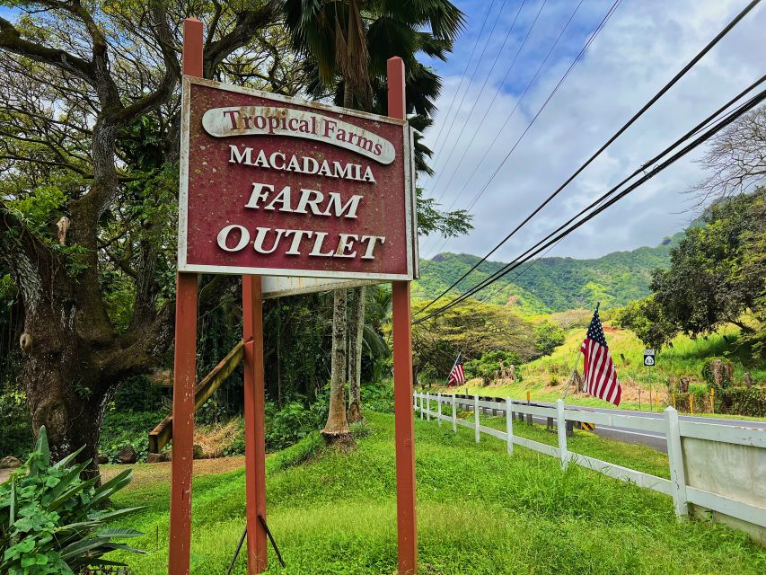 Oahu: North Shore Experience and Dole Plantation - Dole Plantation and the famous pineapple Whip