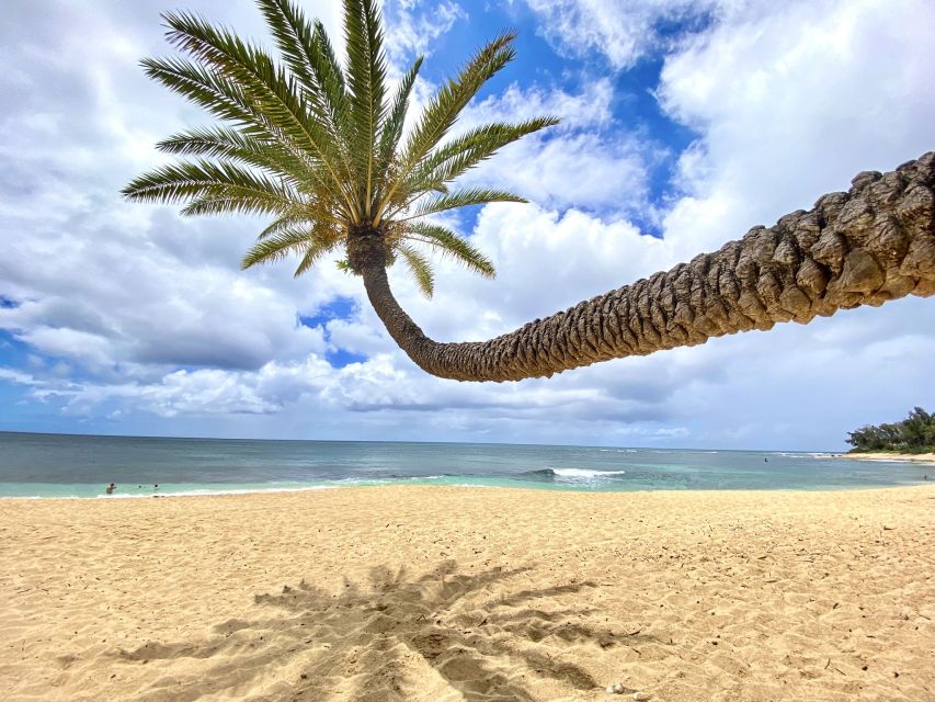 Oahu: North Shore Experience and Dole Plantation - Starting in Waikiki and crossing to the east coast