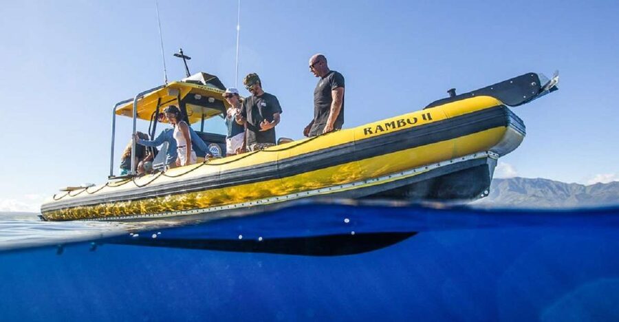 Oahu: North Shore Haleʻiwa: Private Boat Charter - Price, group size, and overall value