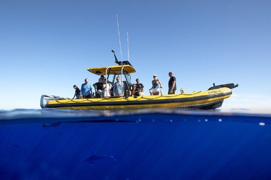 Oahu: North Shore Haleʻiwa: Private Boat Charter - FAQ