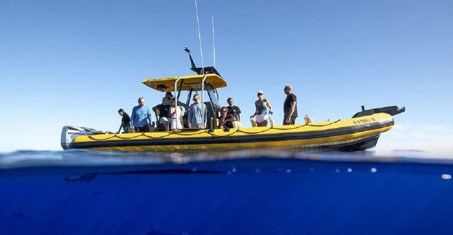 Oahu: North Shore Marine Life Tour from Haleiwa - Leaving Haleiwa for the Ka’ena coastline
