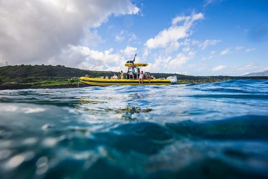 Oahu: North Shore Snorkeling Tour from Haleiwa - Why this North Shore snorkel trip feels different