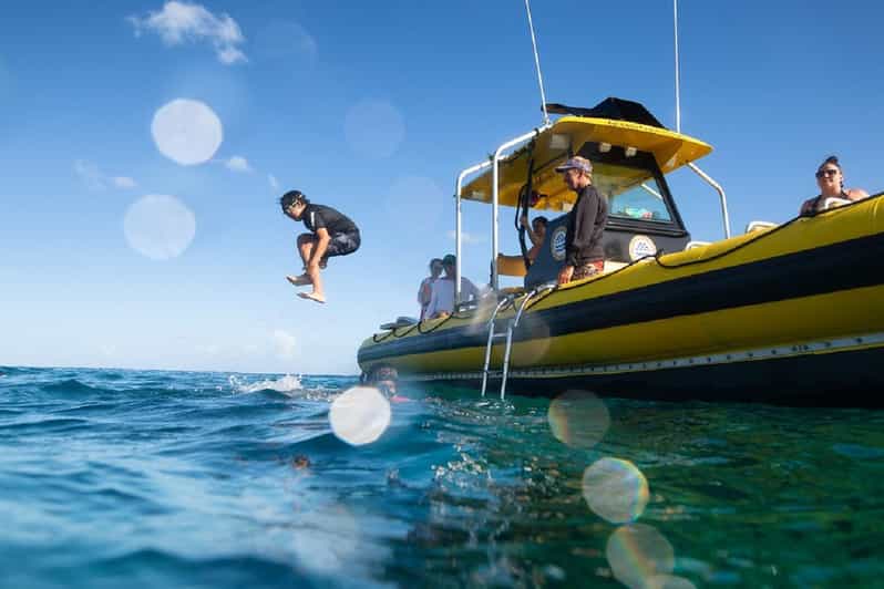 Oahu: North Shore Snorkeling Tour from Haleiwa - Is $110 a good value for two hours?