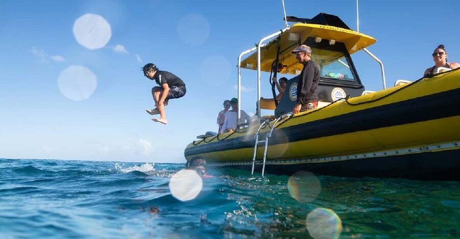 Oahu: North Shore Snorkeling Tour from Haleiwa - Practical tips for a smoother outing