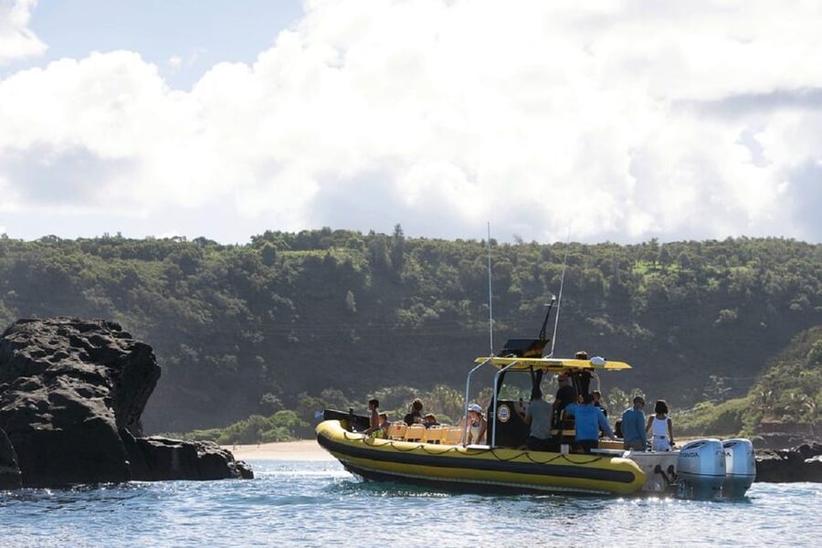 Oahu: North Shore Snorkeling Tour from Haleiwa - Should you book the Haleiwa snorkeling tour?
