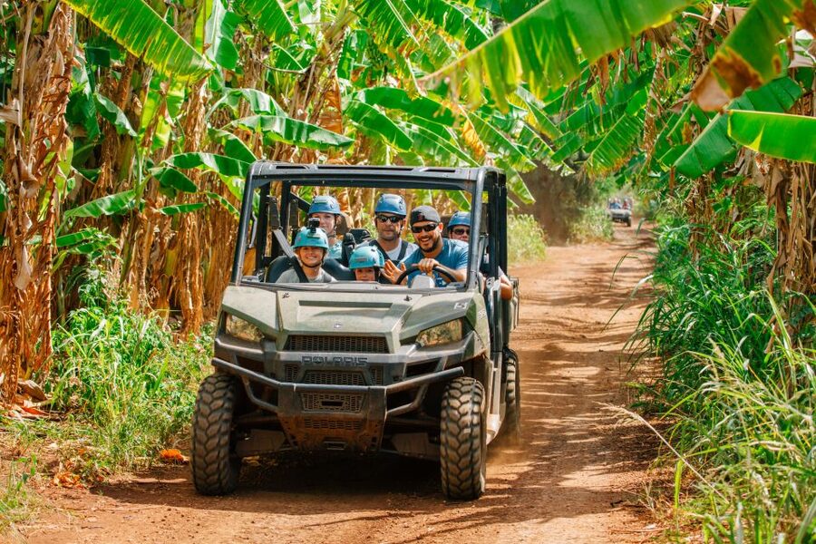 Oahu: North Shore Zip Line Adventure with ATV and Farm Tour - Bridges, rappels, and the floating staircase