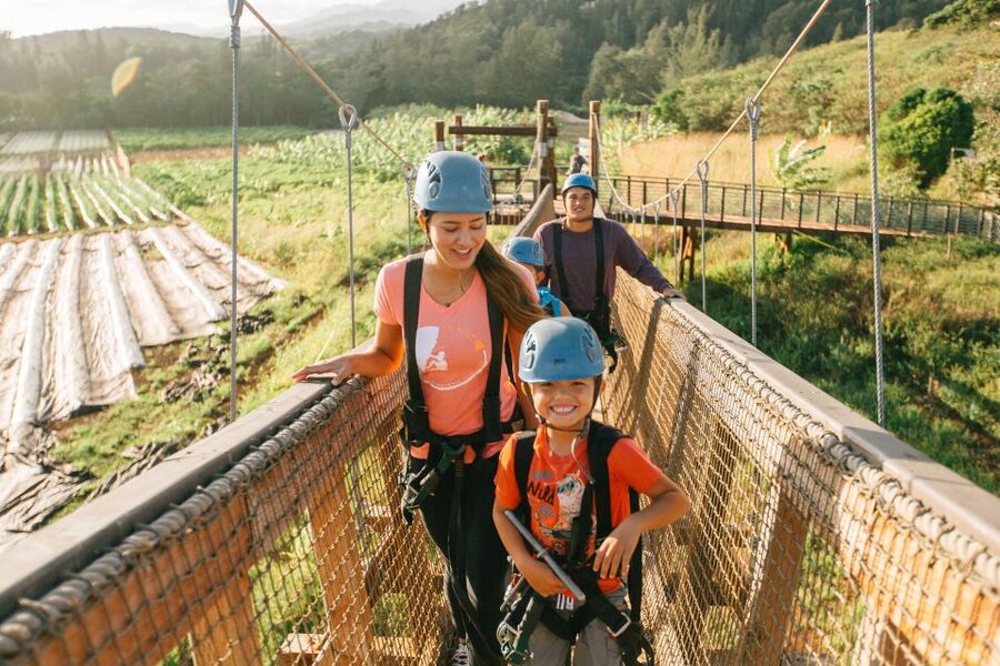 Oahu: North Shore Zip Line Adventure with ATV and Farm Tour - Who should book it