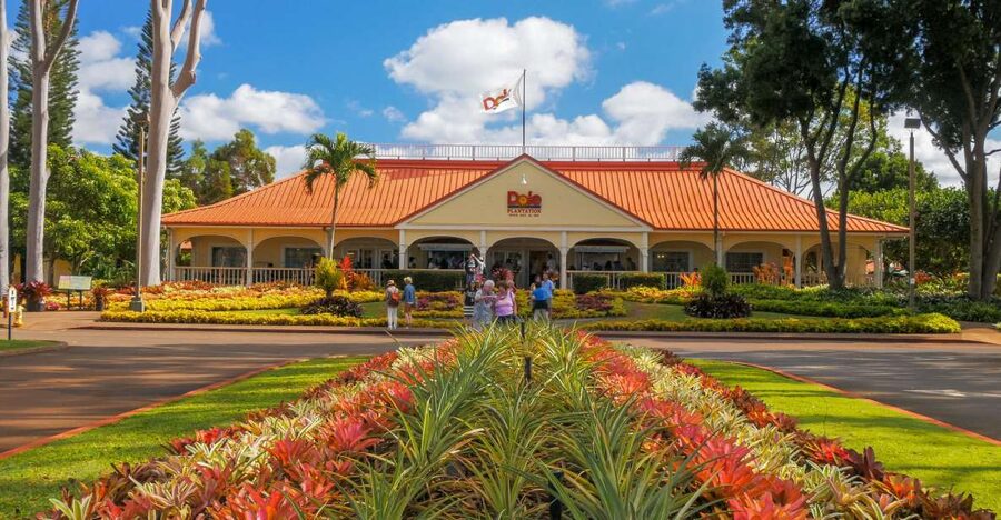 Oahu: Oahu Ultimate Grand Circle Island Tour - One day, four sides of Oahu
