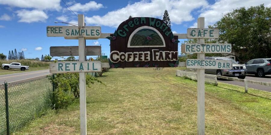 Oahu: Oahu Ultimate Grand Circle Island Tour - Macadamia nuts, coffee, and a practical lunch stop