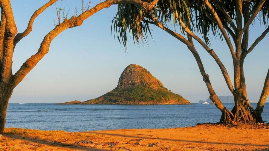 Oahu: Oahu Ultimate Grand Circle Island Tour - North Shore surf country