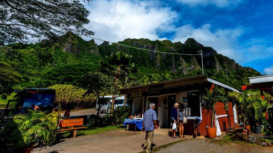 Oahu: Oahu Ultimate Grand Circle Island Tour - One hour at Turtle Beach